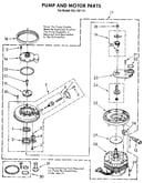 Pump and motor