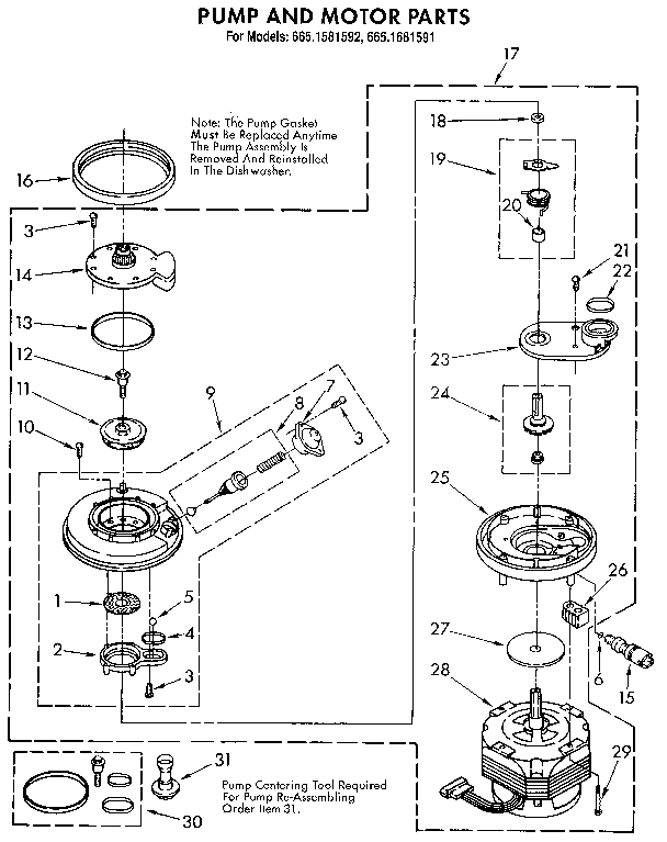 Pump and motor