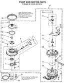 Pump and motor