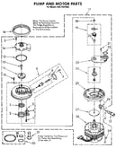Pump and motor
