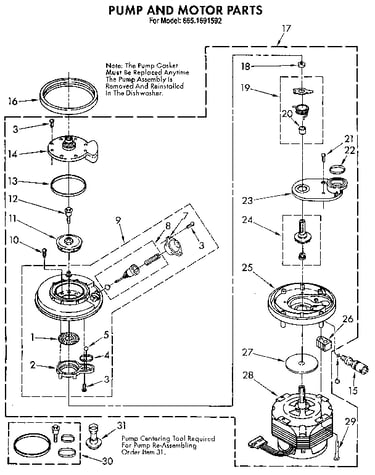 Pump and motor