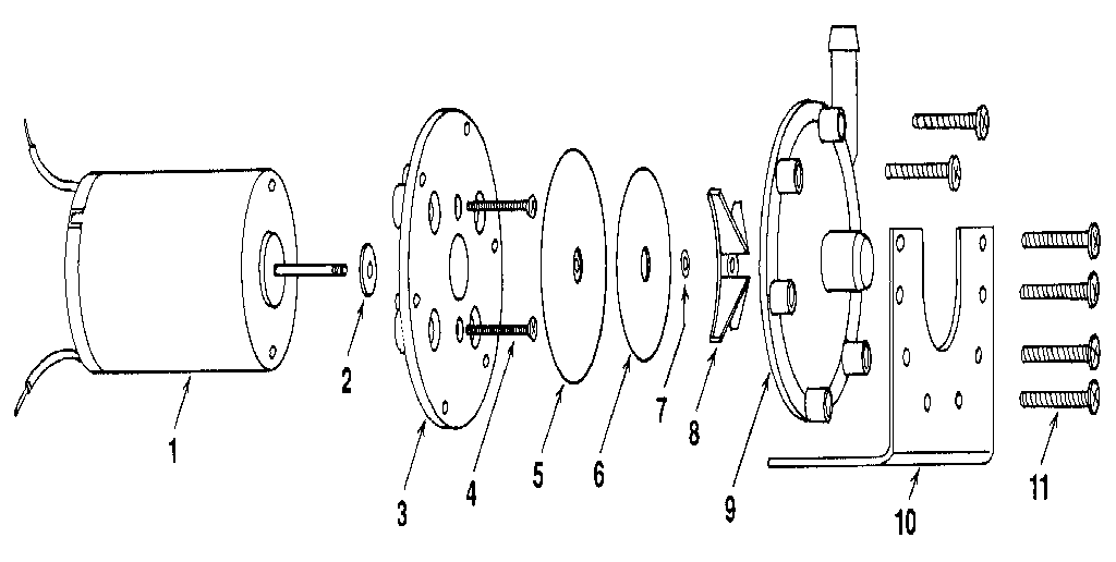 Motor and pump assembly