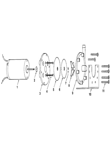 Motor and pump assembly