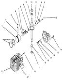 2 cycle engine assembly