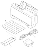 Tray