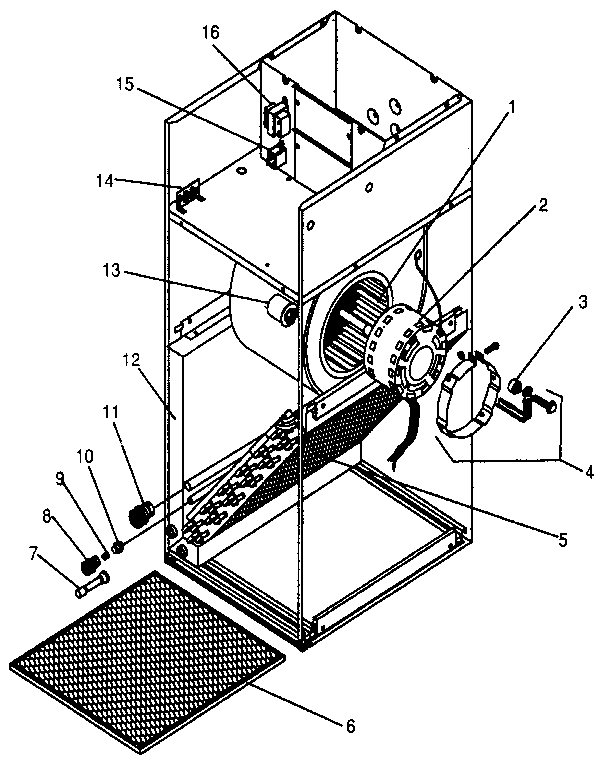 FUNCTIONAL REPLACEMENT