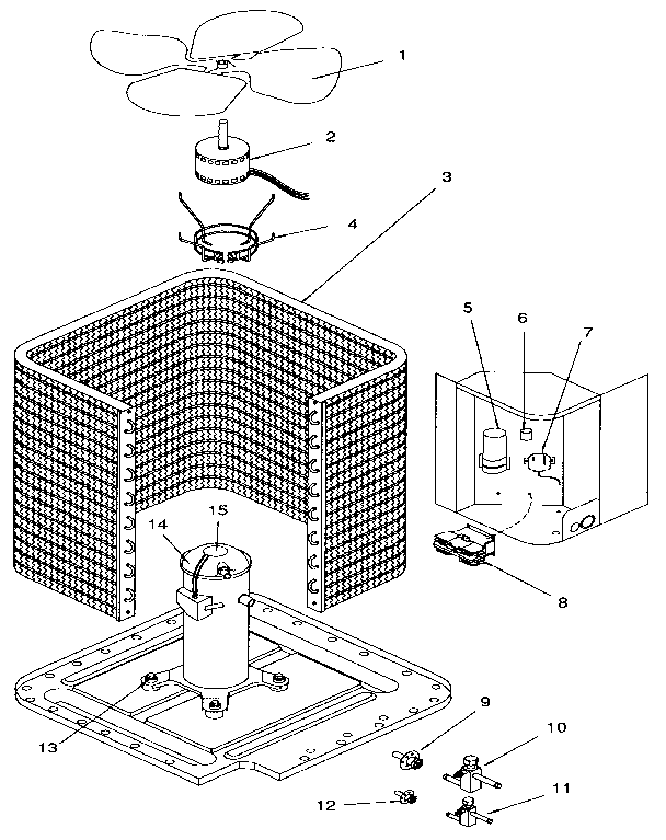 FUNCTIONAL REPLACEMENT