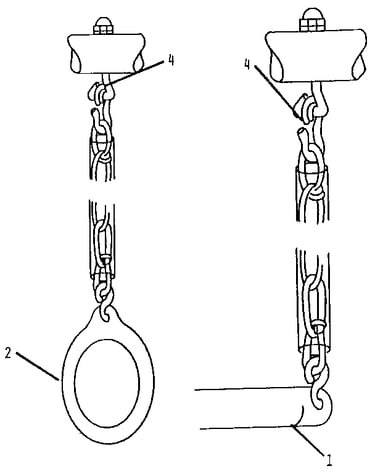 Gym rings & trapeze assembly
