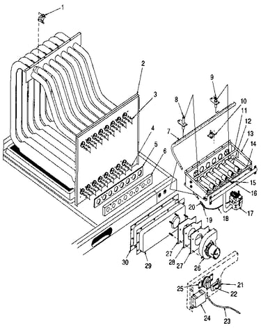 Functional replacement