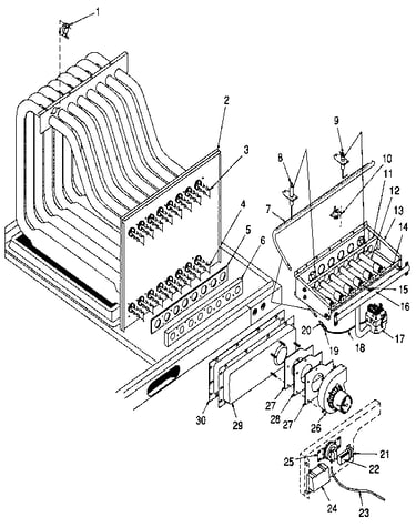 Functional replacement