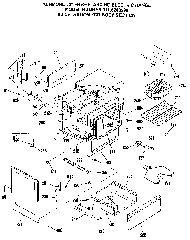 BODY SECTION