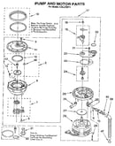 Pump and motor
