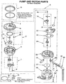 Pump and motor