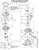 Pump and motor