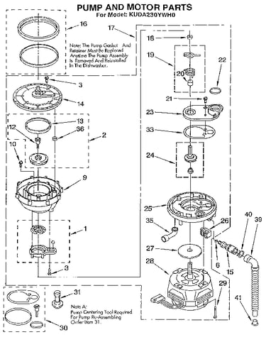 Pump and motor