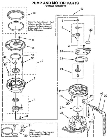 Pump and motor