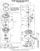 Pump and motor