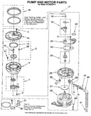Pump and motor