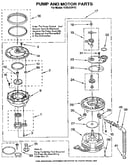 Pump and motor
