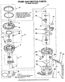 Pump and motor