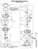 Pump and motor