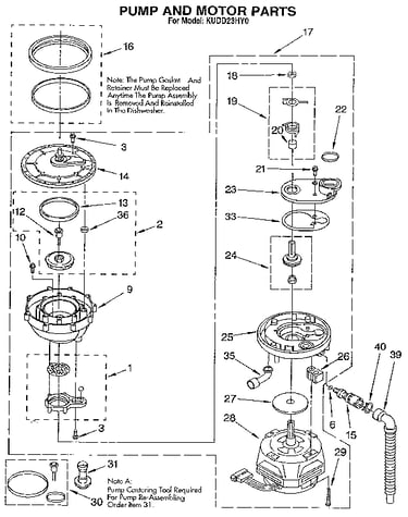 Pump and motor