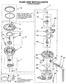 Pump and motor