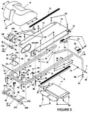 Motor and walking belt assembly