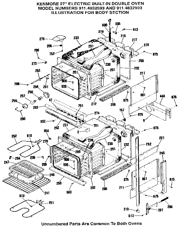 BODY SECTION