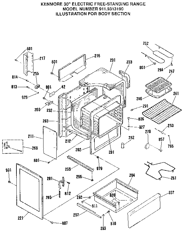 BODY SECTION