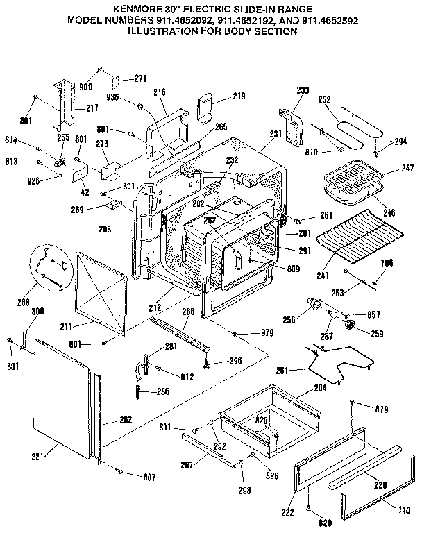 BODY SECTION