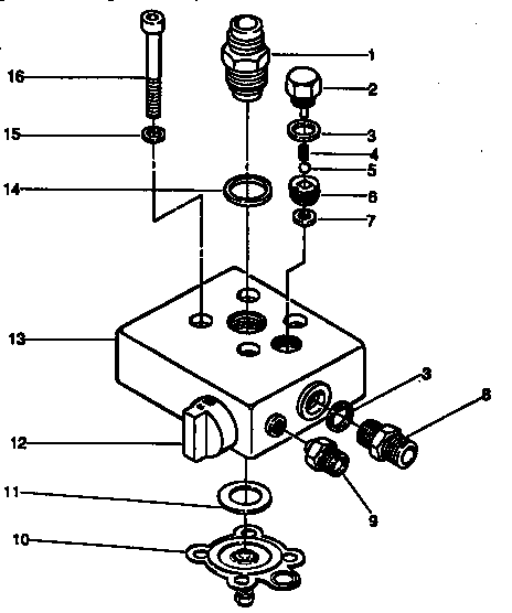 Paint pump assembly