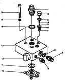 Paint pump assembly