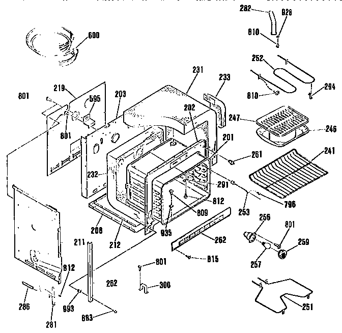 BODY SECTION