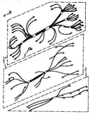Wiring harness parts