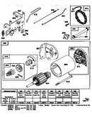 Motor and drive starter