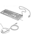 Keyboard and mouse
