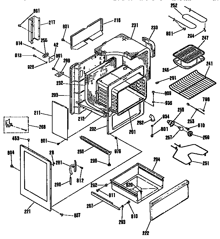 BODY SECTION