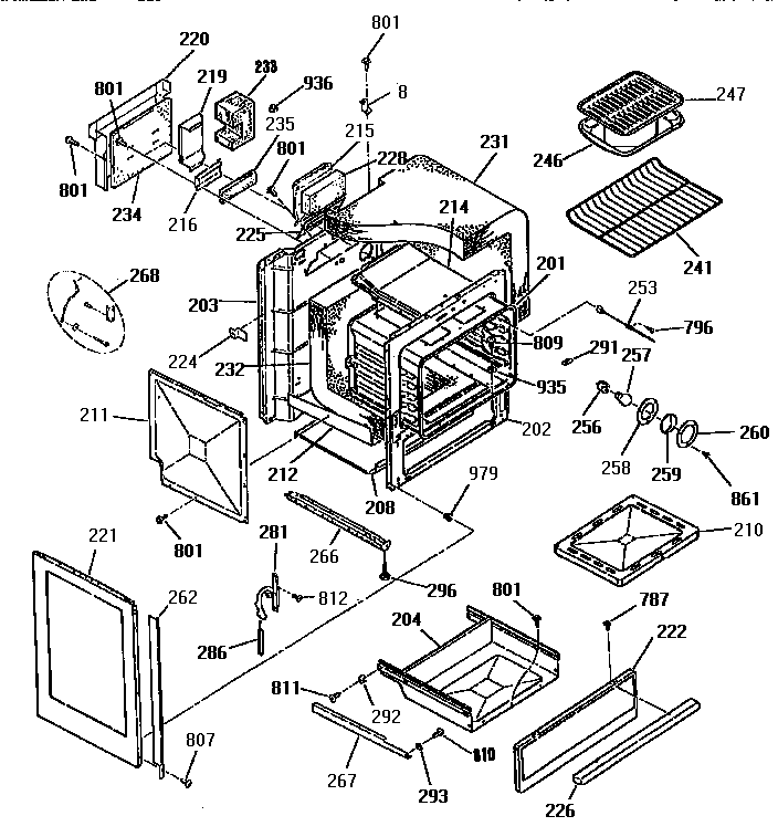 BODY SECTION