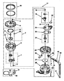 Pump and motor