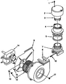 Blower