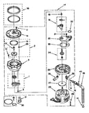 Pump and motor