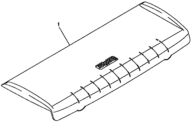 CASES
