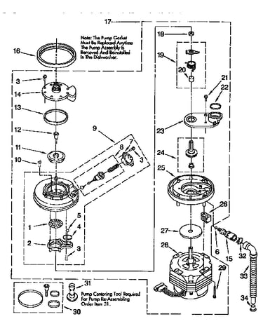 Pump and motor