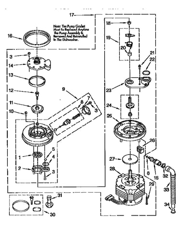 Pump and motor
