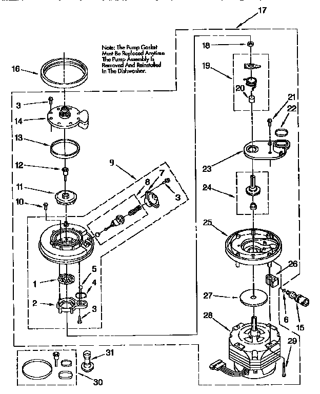 Pump and motor