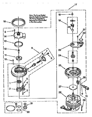 Pump and motor