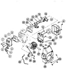 Carburator and muffler assemblies