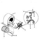 Blower