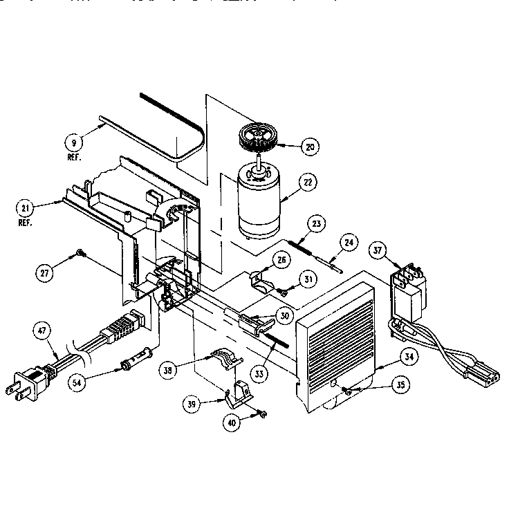MAIN BODY